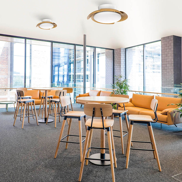 Tuuletinvalaisin Aloha puu/valkoinen